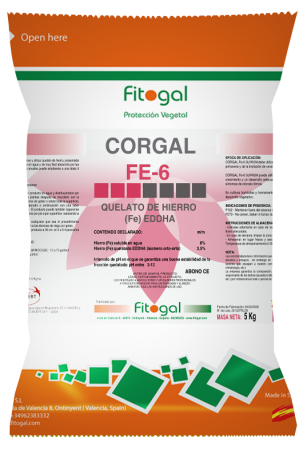 corgalfe6